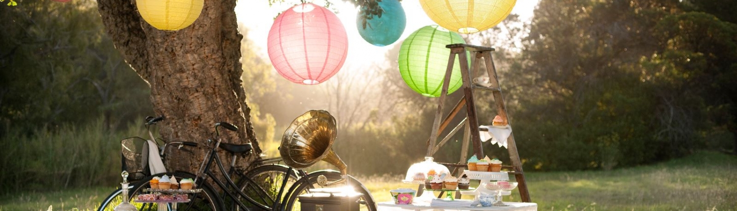 1016009_708311272545582_459374873_o