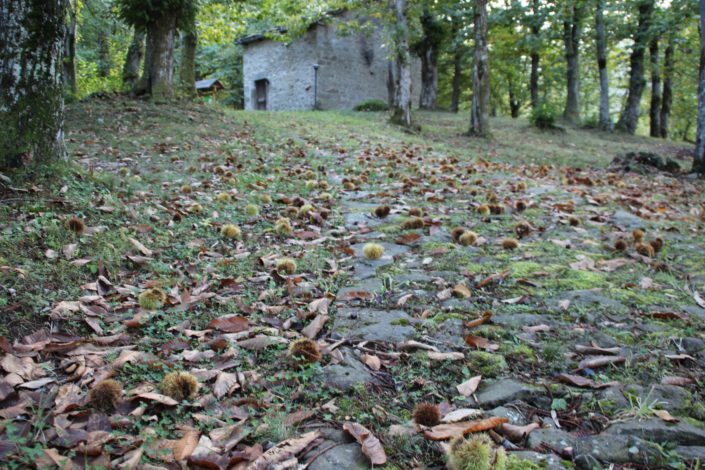 beltaine_itaca_parco_castagno