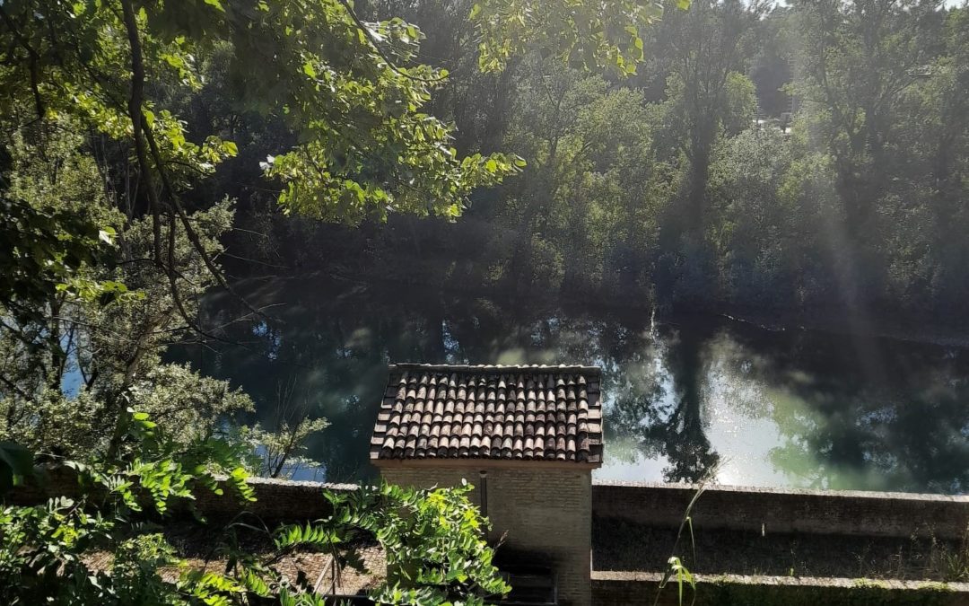 Itinerario in bici e performance artistiche >RACCONTI D’ACQUA