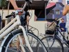 Bike-Tour-Firenze